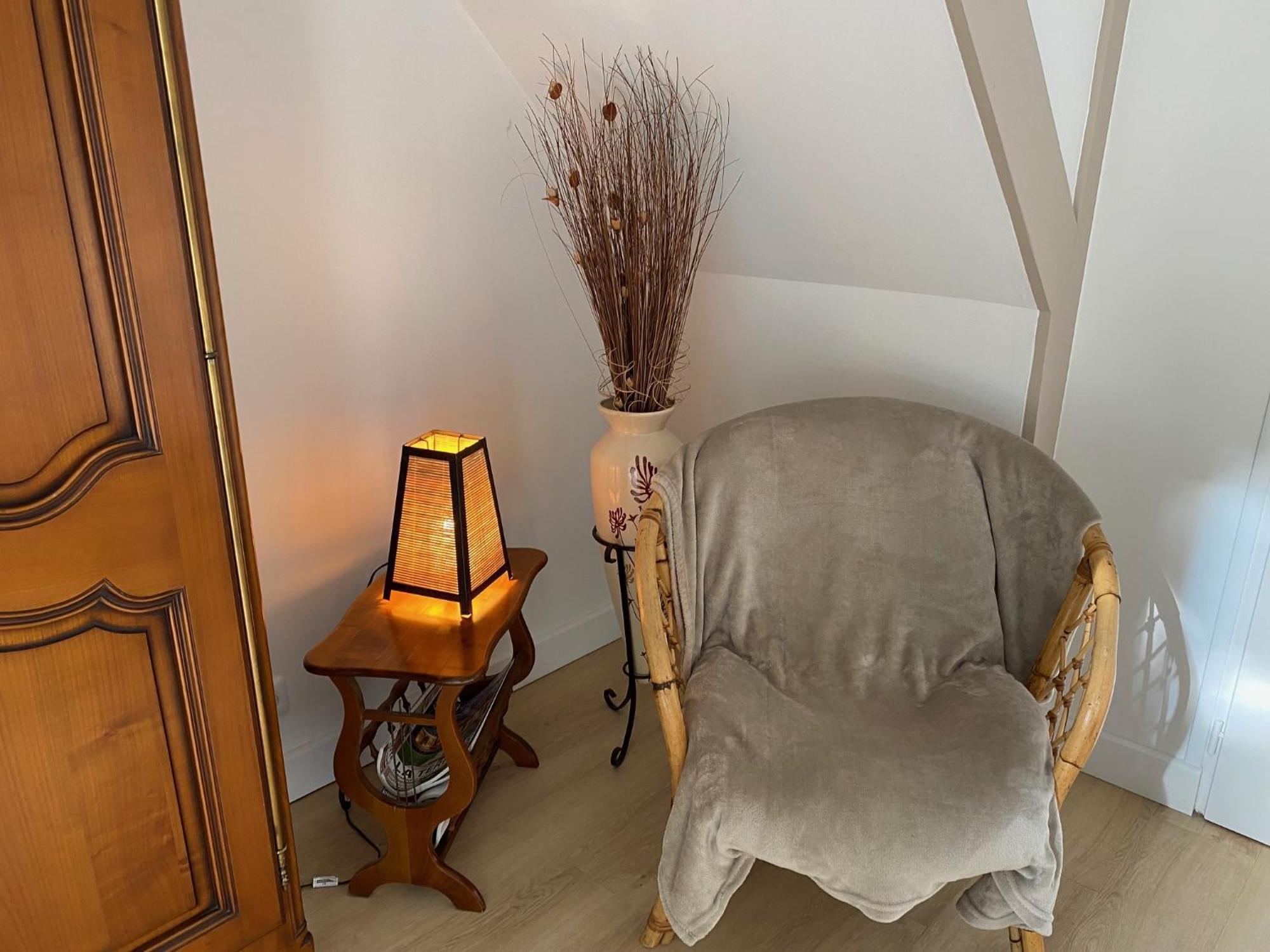 Gite De La Maison De Triboulet- Amboise Pocé-sur-Cisse Екстериор снимка